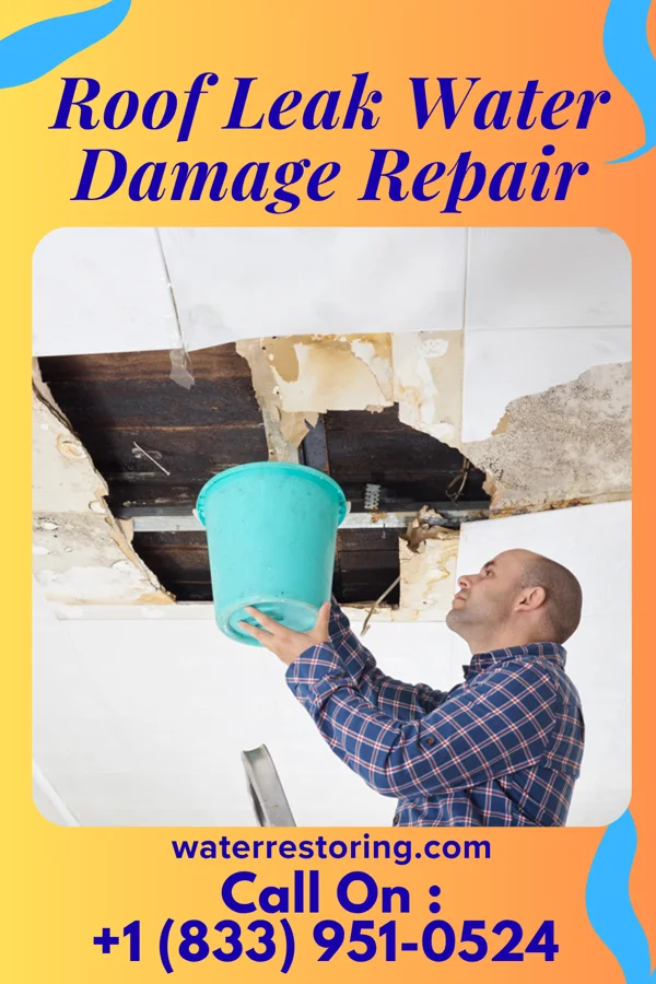 Roof Leak Water Damage Repair in Luxemburg, IA